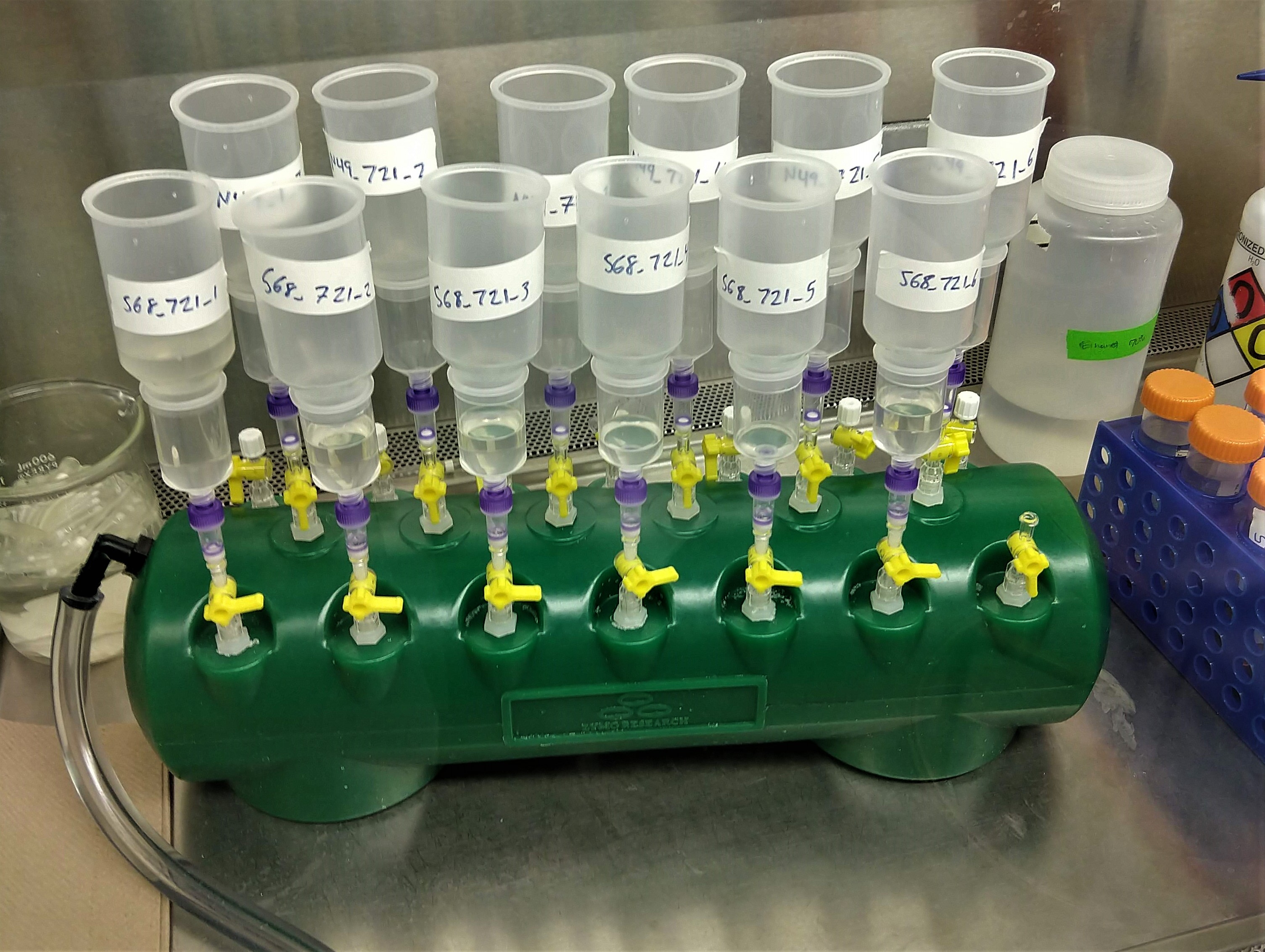 SARS-CoV-2 variant sewage surveillance