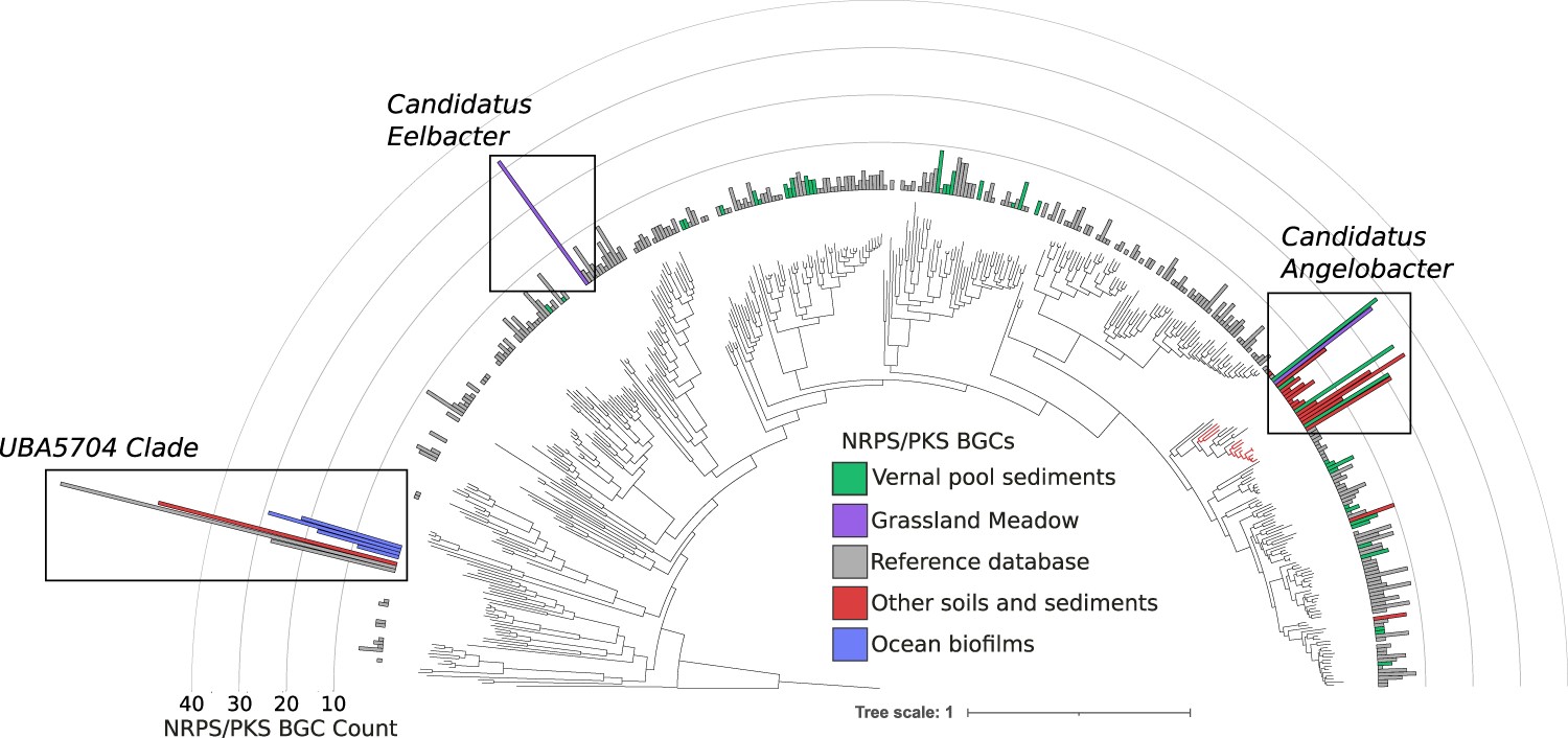 Discovering novel soil microbes